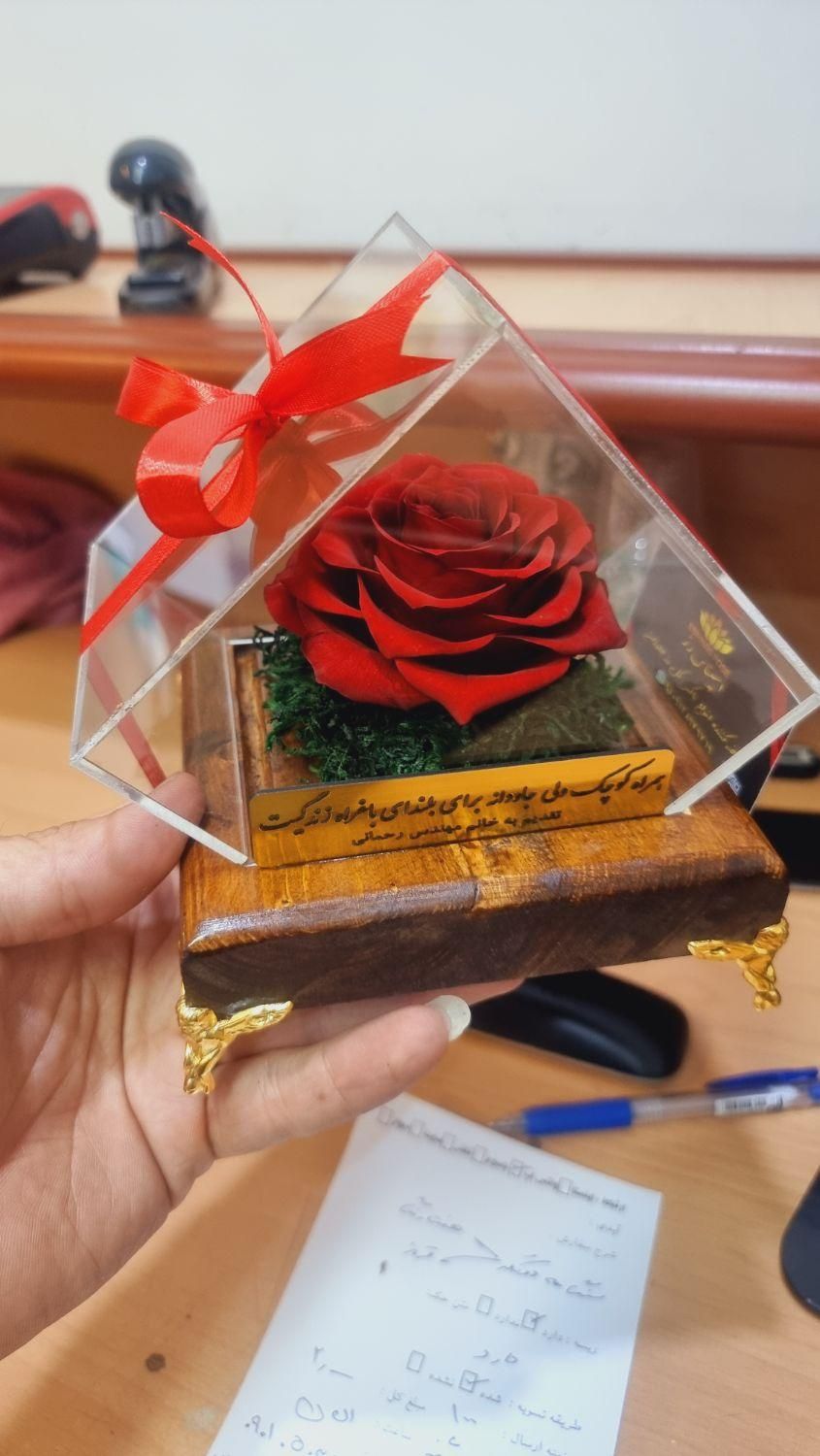 باکس چوبی گل رز جاودان  همراه گل سایز بزرگ طرح یاس|گل و گیاه طبیعی|تهران, میدان ولیعصر|دیوار