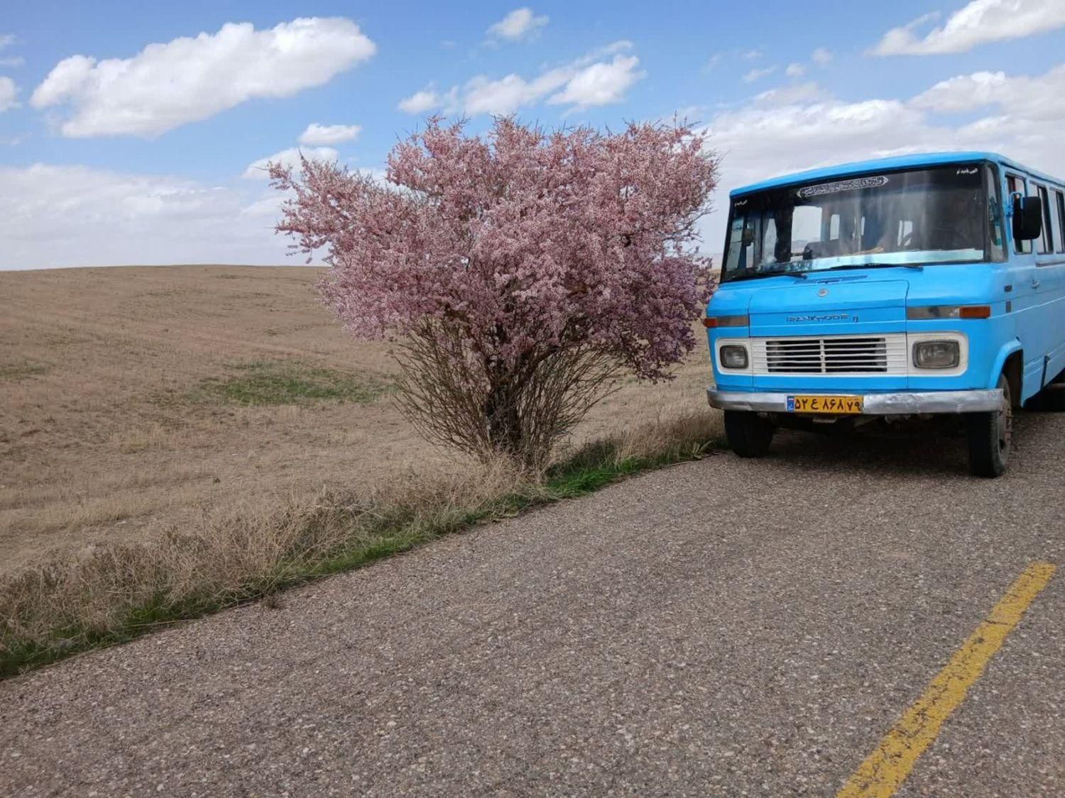 مینی بوس مدل 56|خودرو سنگین|تاکستان, |دیوار