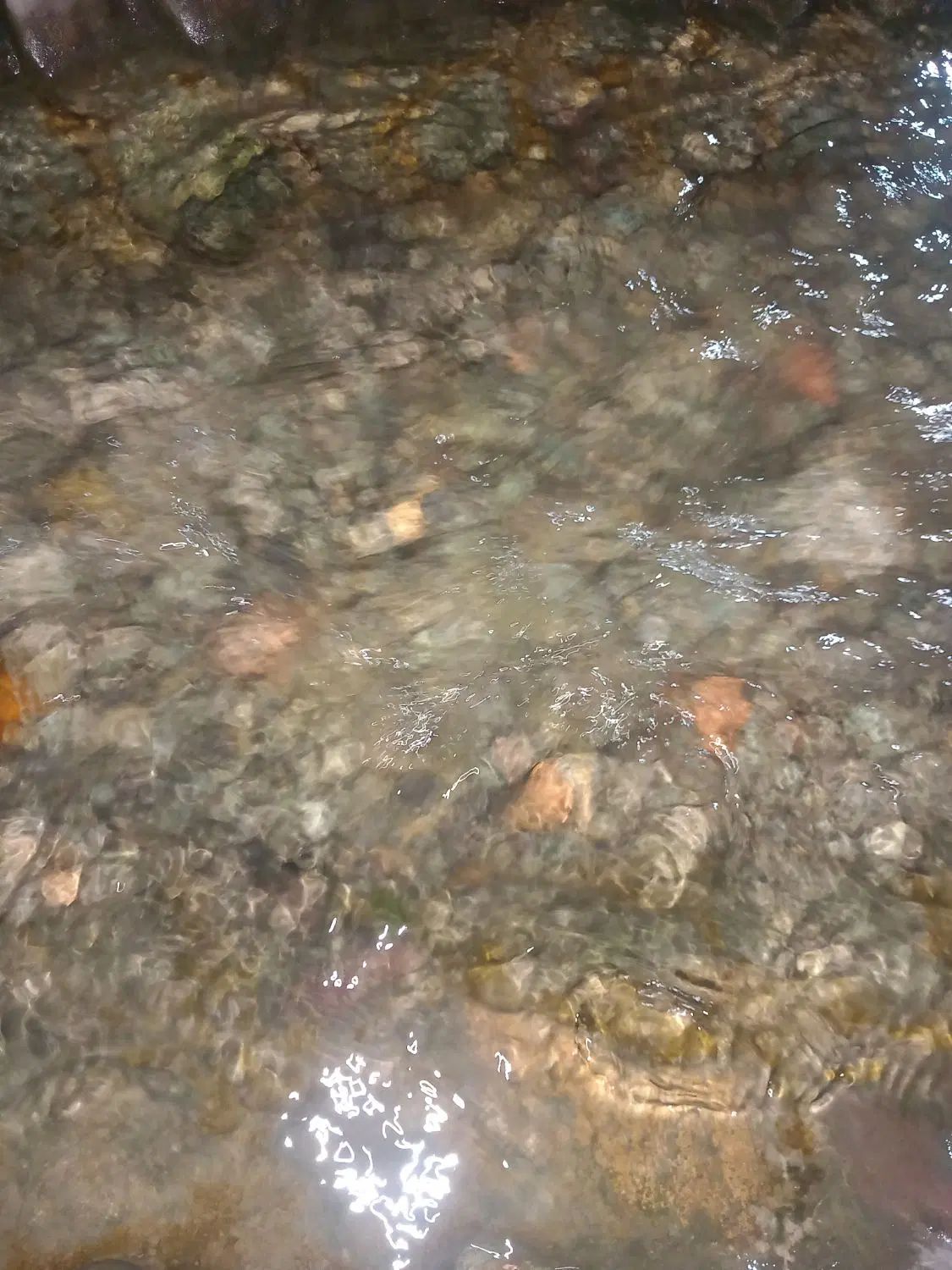 کارت ملی گمشده|اشیا|رشت, سعدی (تختی)|دیوار