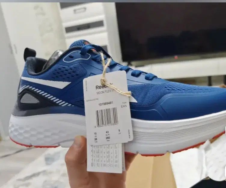 Reebok اورجینال  2025|کیف، کفش، کمربند|تهران, توحید|دیوار