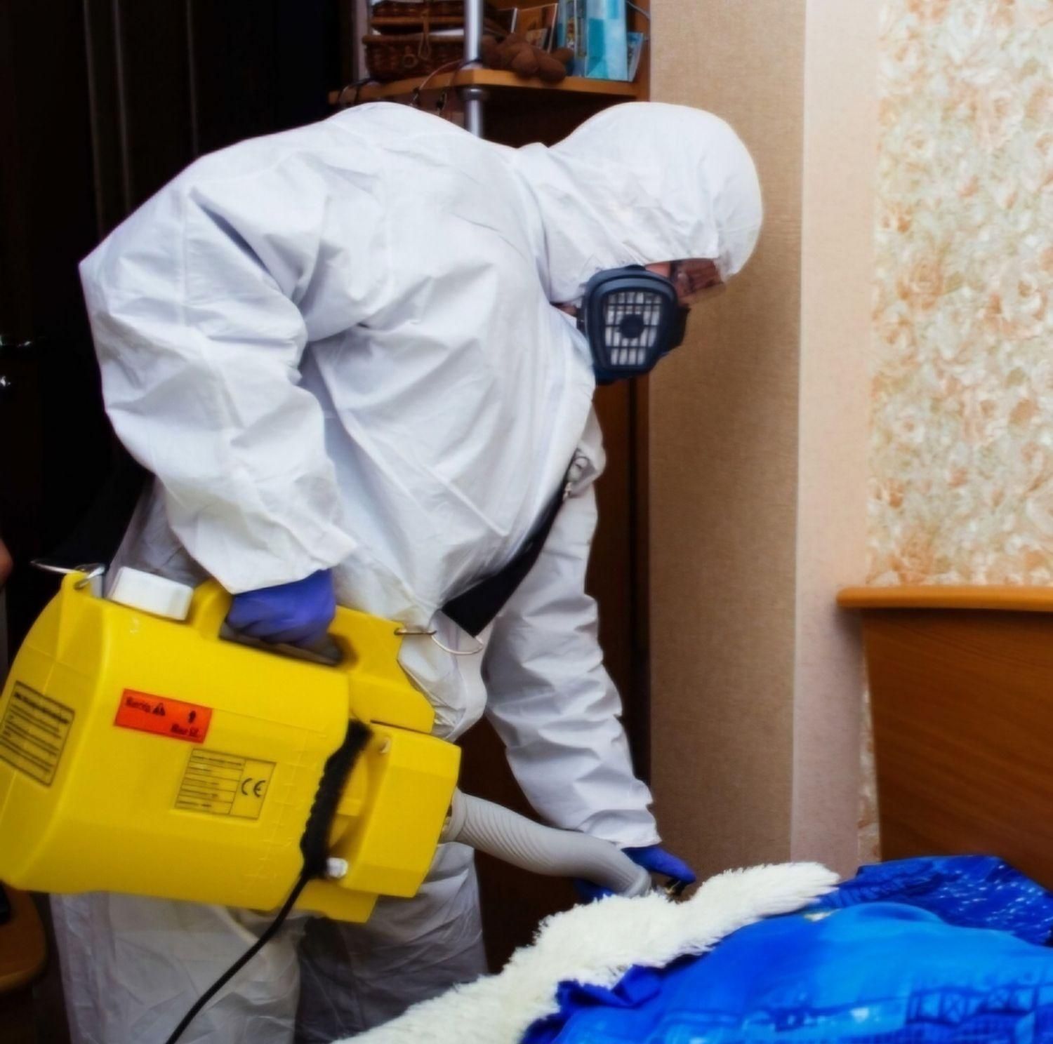 سمپاشی/منازل/شرکت ها/سم پاشی موریانه حشرات تضمینی|خدمات نظافت|اهواز, شریعتی جنوبی|دیوار