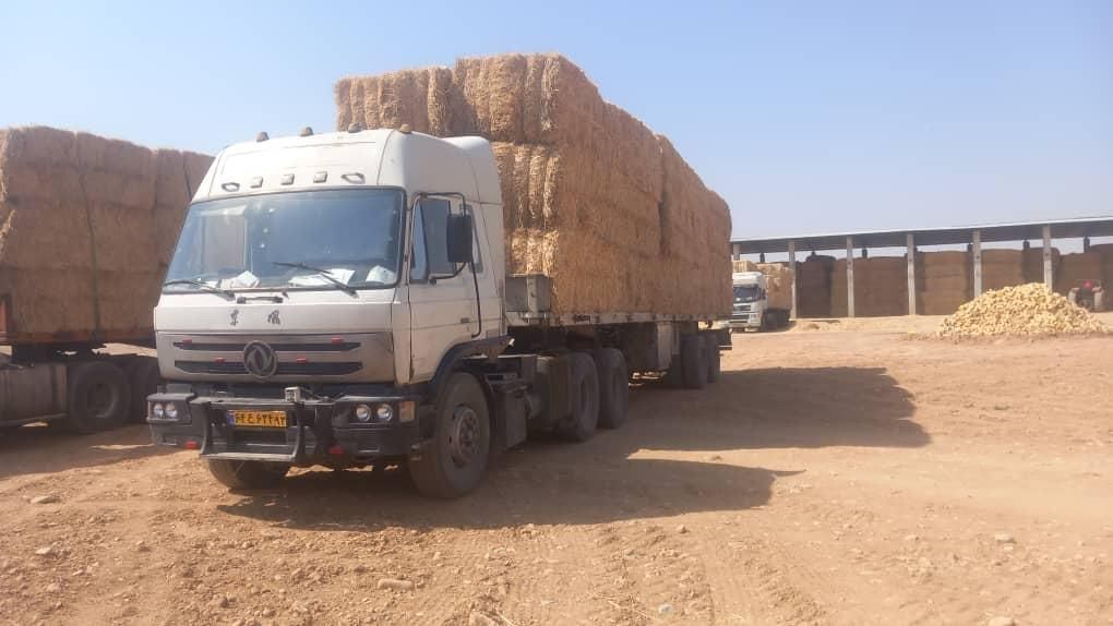 تریلی دانگ فنگ t300|خودرو سنگین|مرودشت, فاز دوم شهرک فرهنگیان|دیوار
