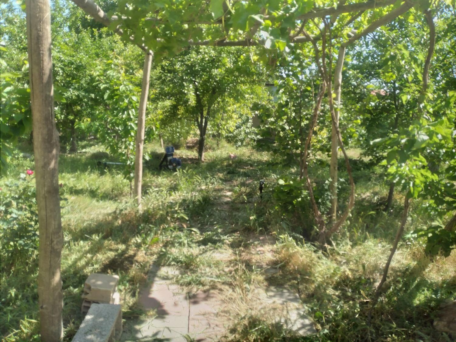 خانه ویلایی پایین طالقان روستای شکرناب|فروش خانه و ویلا|طالقان, |دیوار