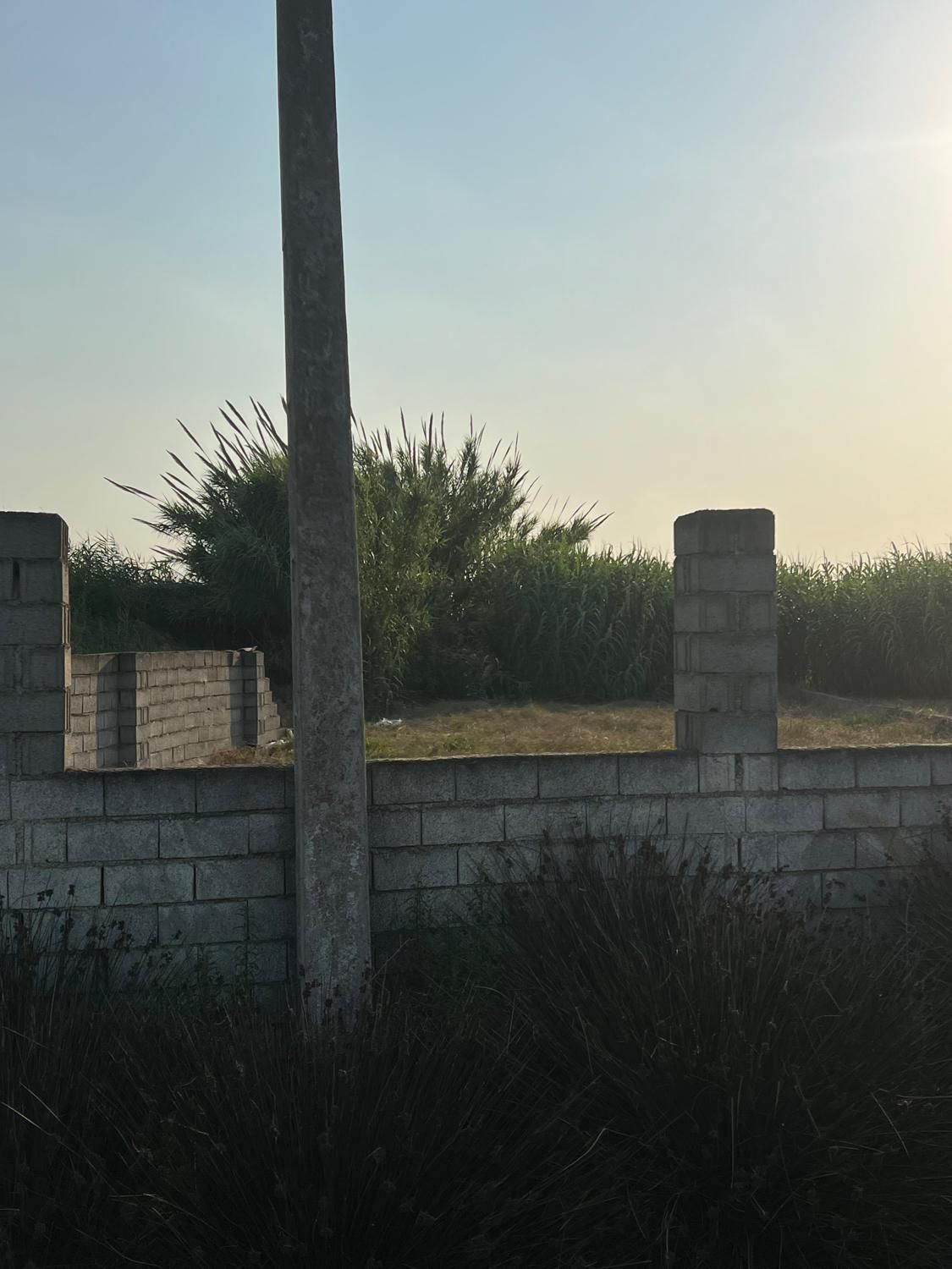 ۱۰۰۰ متر زمین تجاری با ۳۰ متر بر جاده اصلی|فروش دفتر صنعتی، کشاورزی، تجاری|کیاکلا, |دیوار