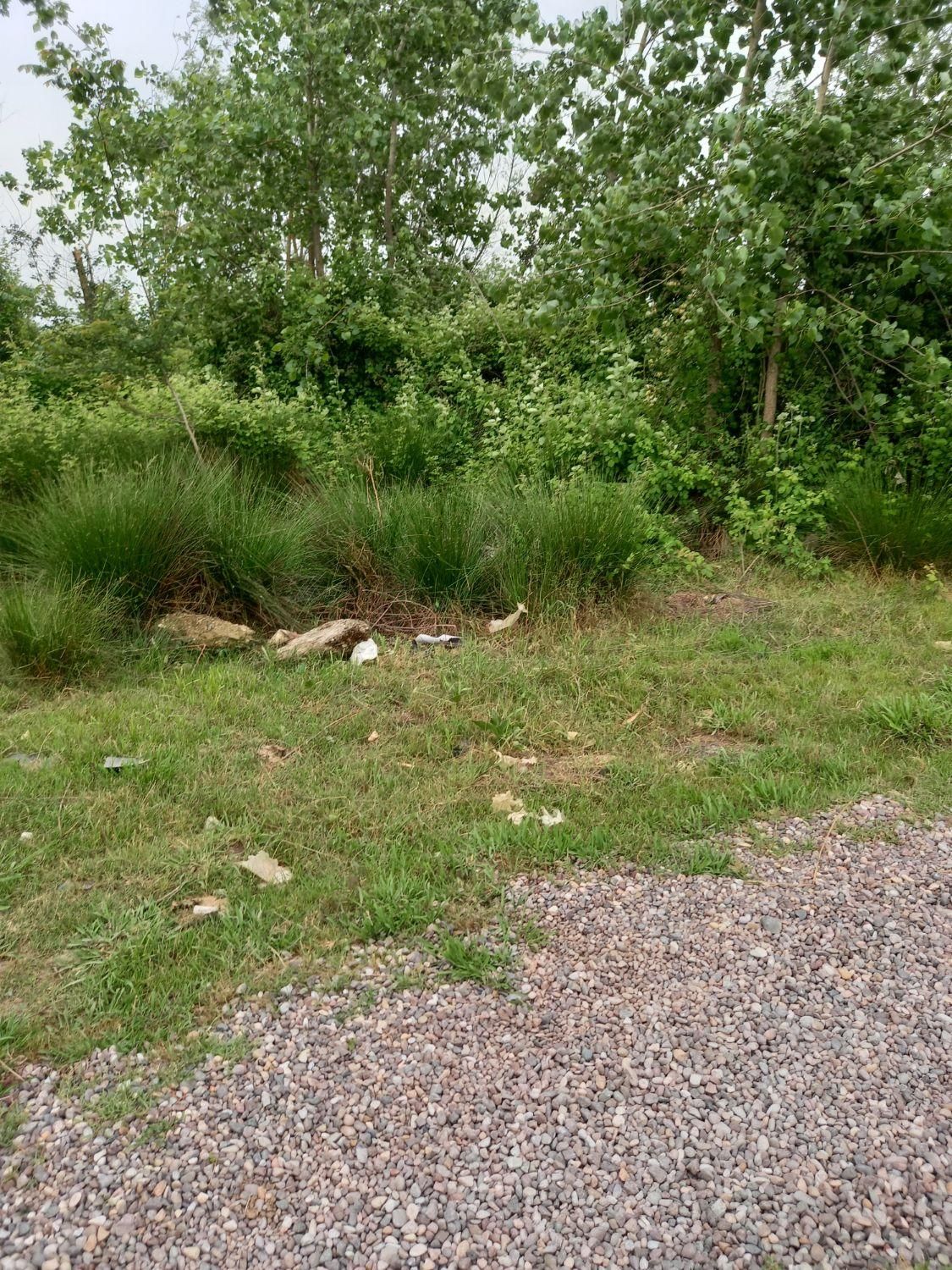 فروش زمین ۲۶۷ متری در رشت روستای کولوش طالشان|فروش زمین و ملک کلنگی|رشت, احمد گوراب|دیوار