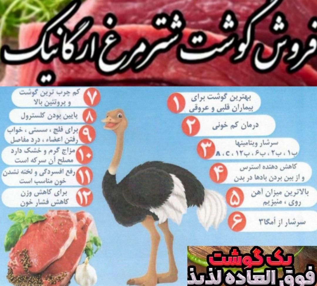 تلویزیون ال ای دی زودپزاجاق گازلوازم برقی پخت پز|اجاق گاز و لوازم برقی پخت‌وپز|یاسوج, |دیوار