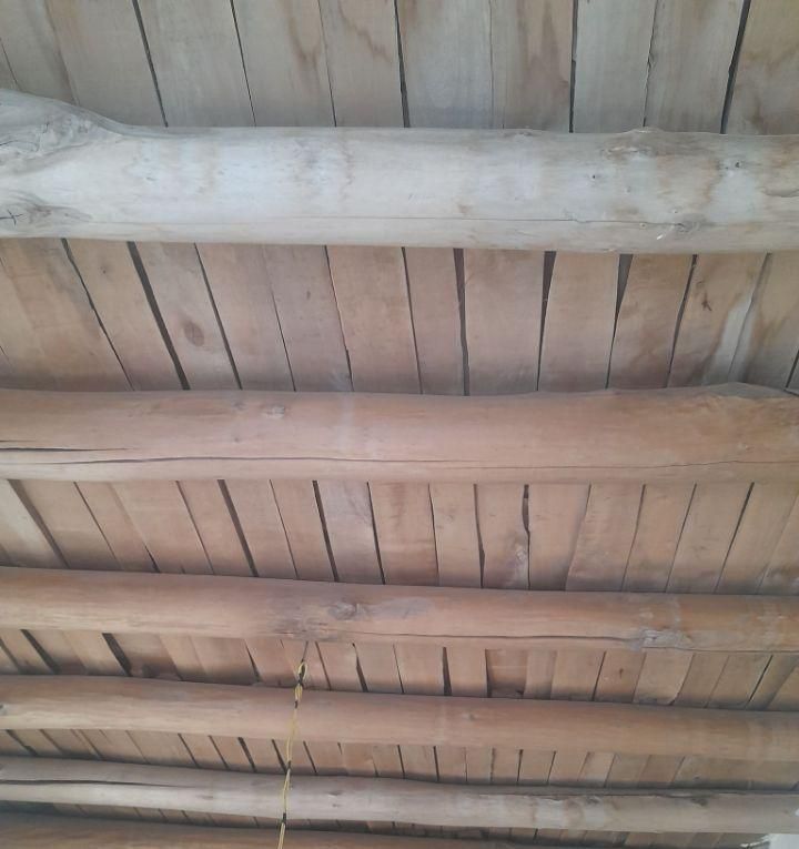 خریدچوب سقفی|خدمات باغبانی و درختکاری|ارومیه, |دیوار