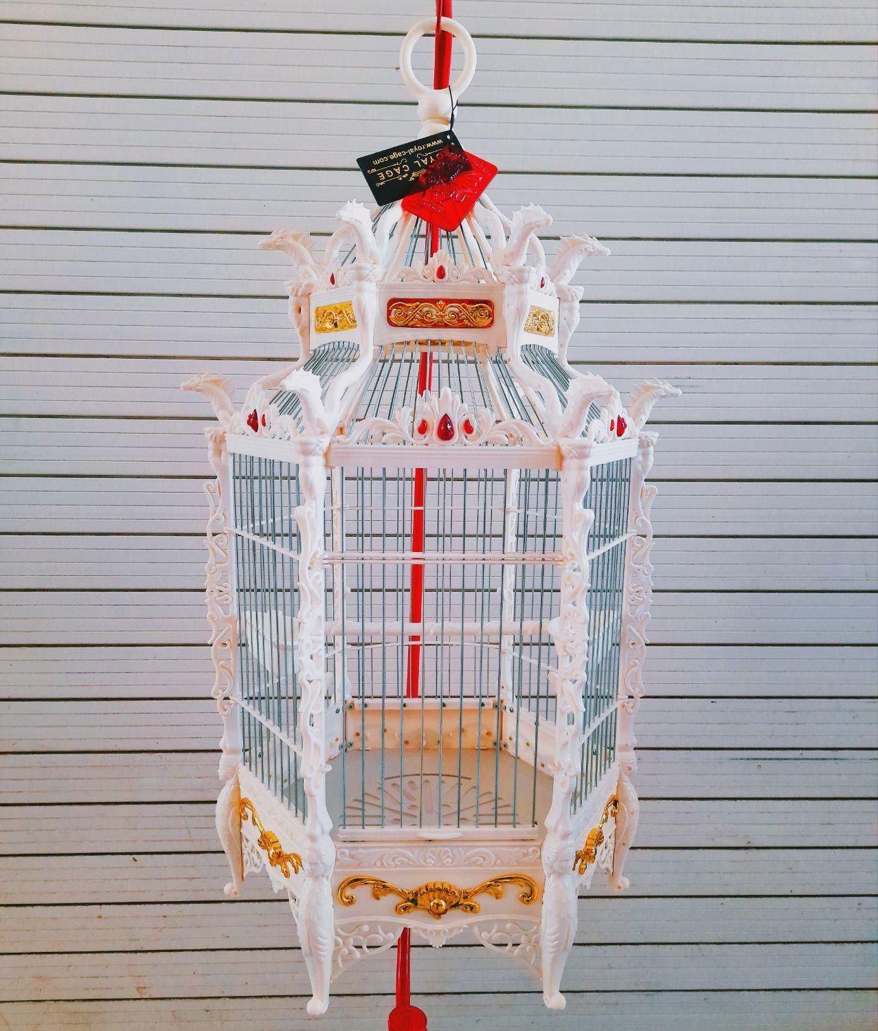 انواع قفس|لوازم جانبی حیوانات|بیرجند, |دیوار