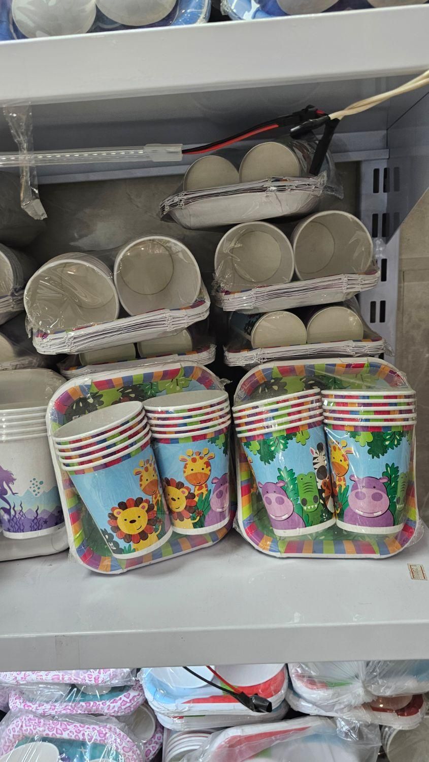 باب اسفنجی|اسباب‌‌بازی|رشت, انصاری|دیوار