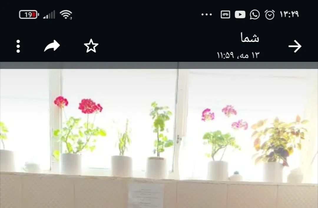۵عددگلدان بزرگ باگل چ۵عدد گلدان کوچک سرامیکی|گل مصنوعی|تهران, جنت‌آباد شمالی|دیوار