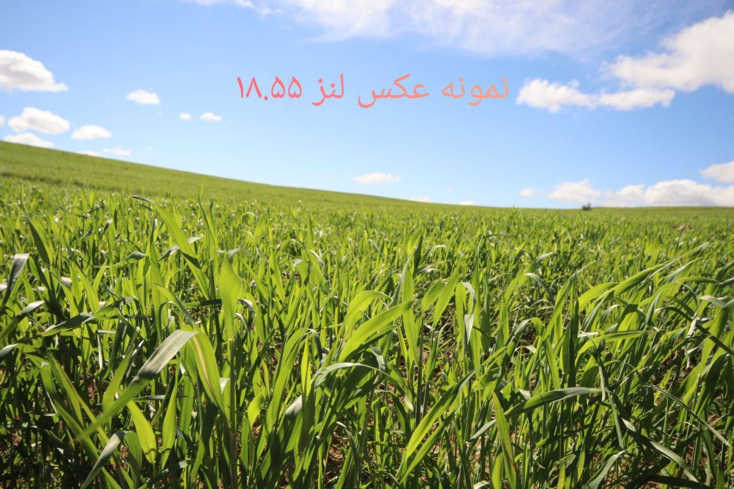 دوربین کنون ۲۵۰d مشابه اکبند به همراه لنز|دوربین عکاسی و فیلم‌برداری|اندیشه, شهرک صدف|دیوار