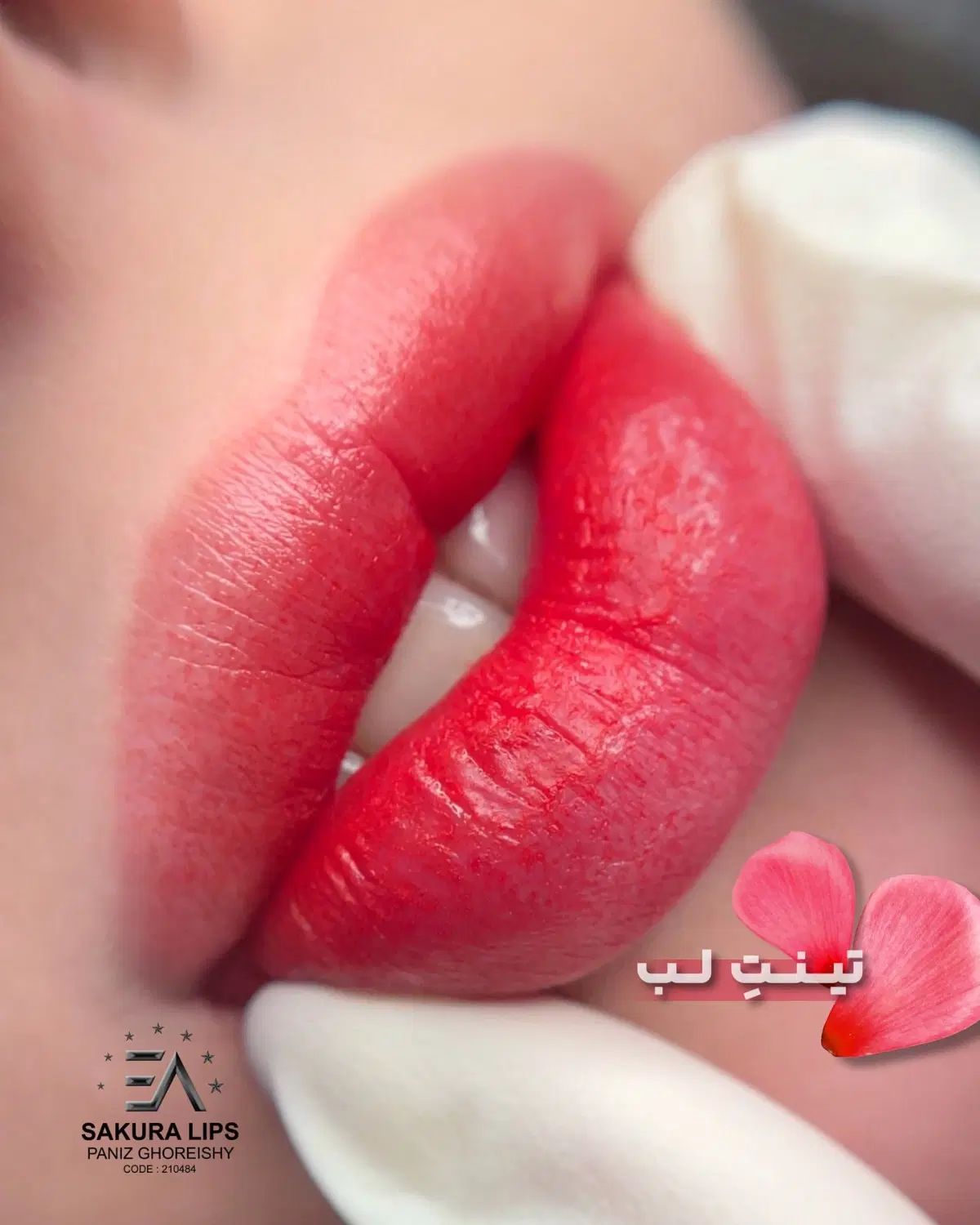 نیاز به یک مدل برای شیدینگ لب و خط چشم مینیاتوری|خدمات آرایشگری و زیبایی|مشهد, فرهنگ|دیوار