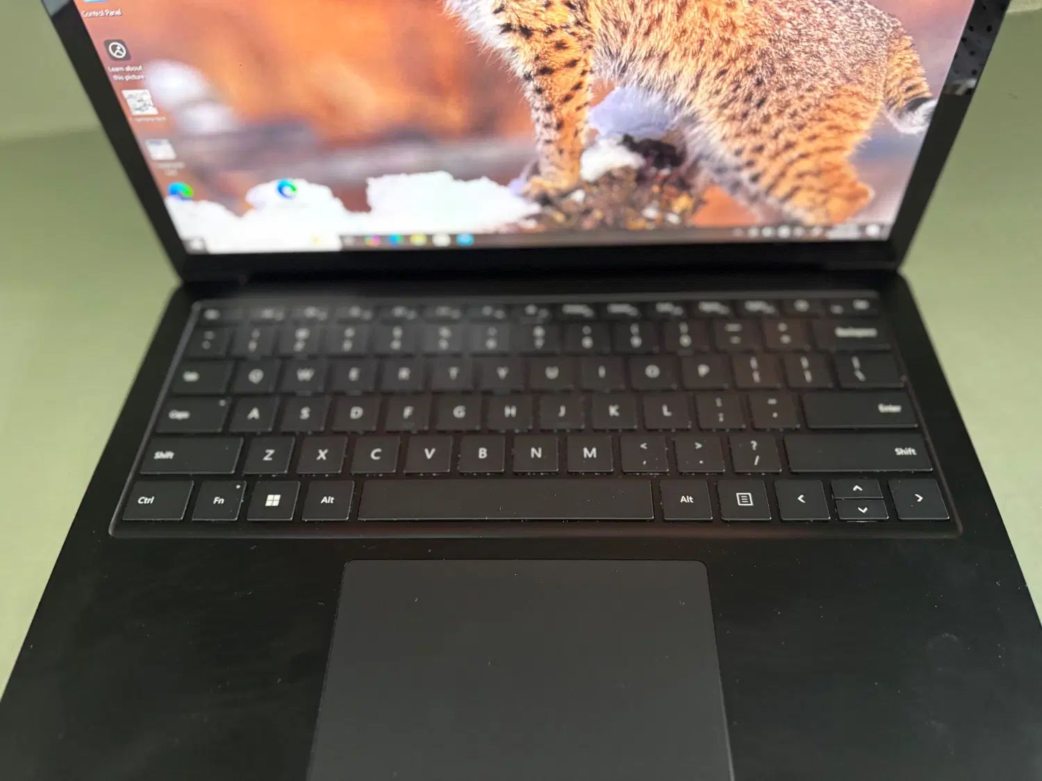 Surface Laptop 4/سرفیس لب تاب ۴ نسل ۱۱|رایانه همراه|مشهد, سجاد شهر|دیوار