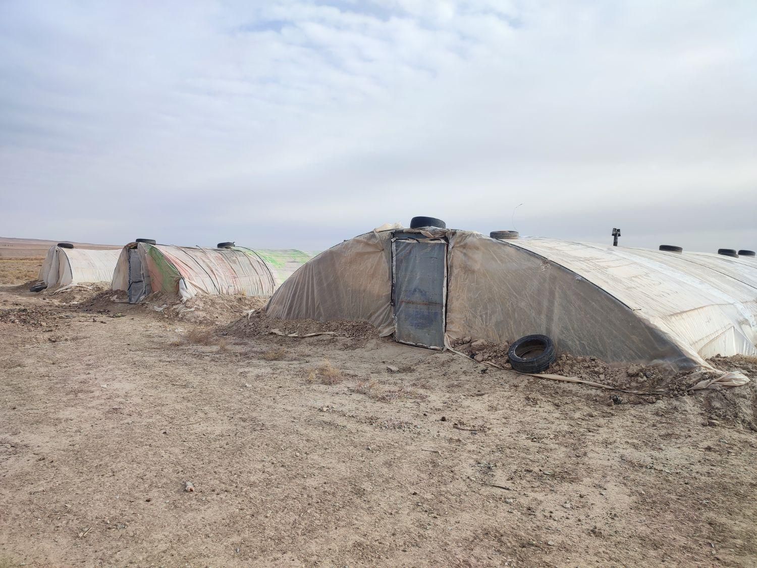 سازه گلخانه|مصالح و تجهیزات ساختمان|تربتحیدریه, شهرک ولیعصر|دیوار