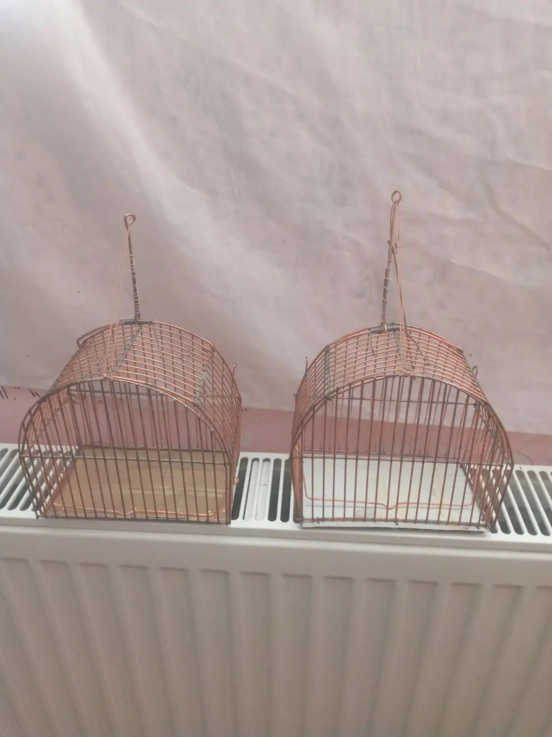 قفس تله تکی سهره|لوازم جانبی حیوانات|بجنورد, |دیوار