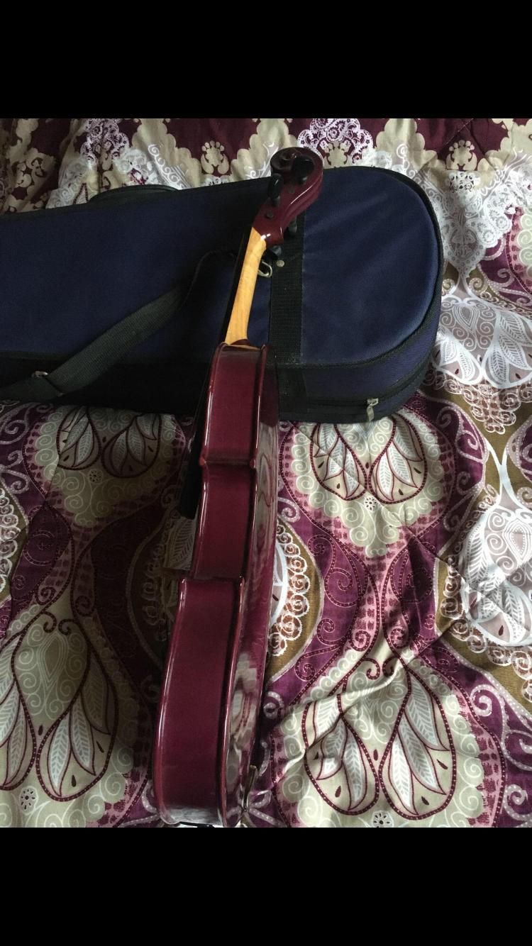 ویولون رنگ زیبا|ویولن|رشت, بلوار گیلان|دیوار