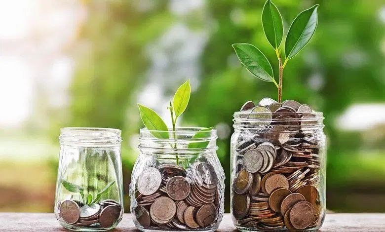 راهنمایی کنیدبا پسندازتون چکار میکنید|فعالیت داوطلبانه|مشهد, کشاورز|دیوار