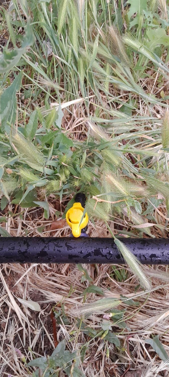 لوله کشی بارانی و قطره ای  ، لوله کشی ساختمان|خدمات باغبانی و درختکاری|زنجان, |دیوار