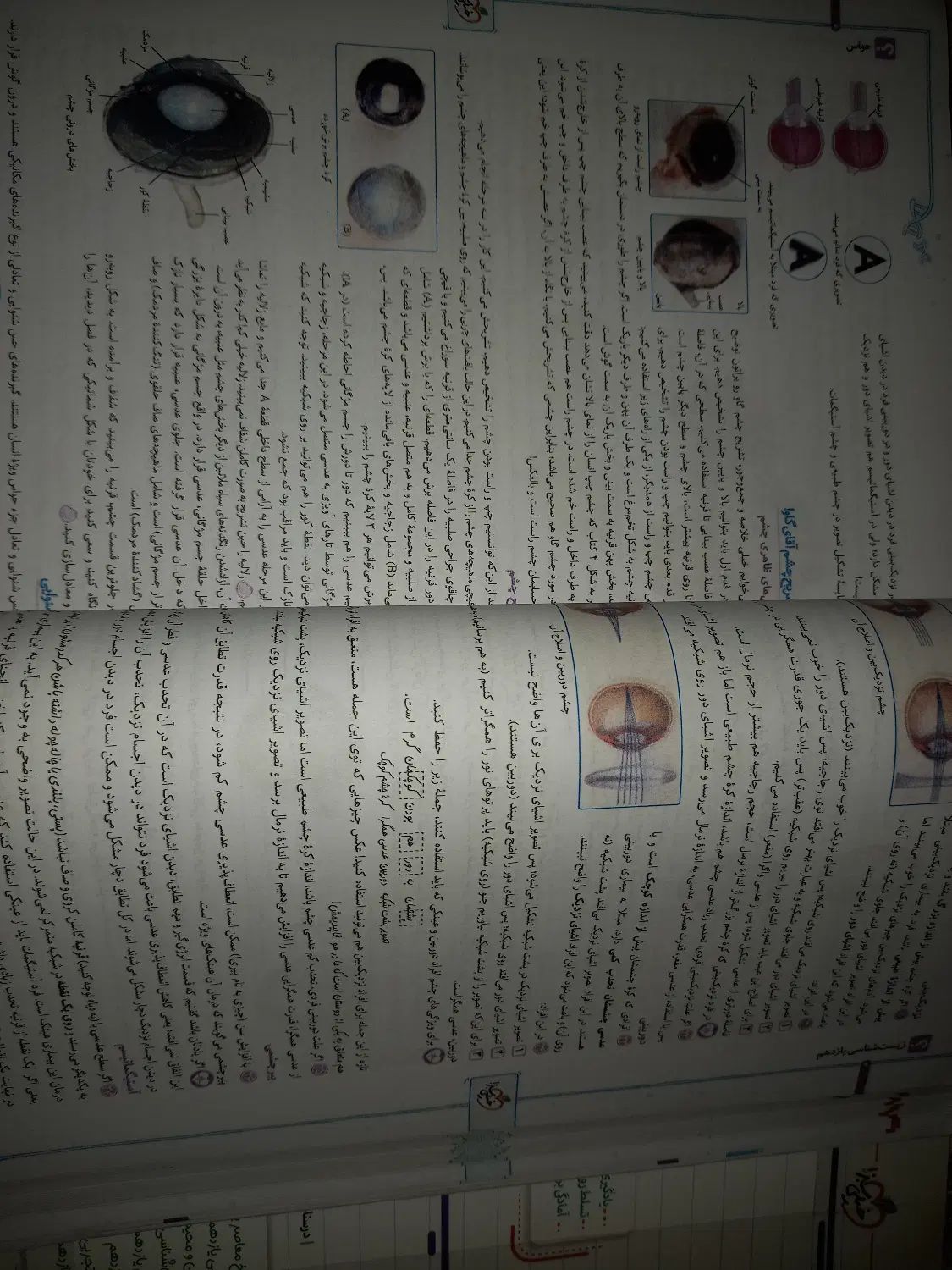 کتاب پرسش های چهار گزینه ای زیست شناسی ۲|کتاب و مجله آموزشی|تهران, کرمان|دیوار