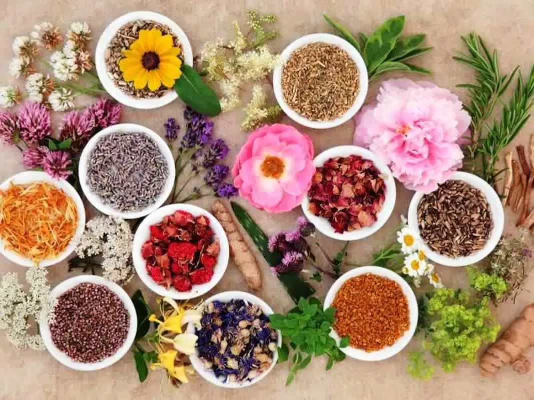 ماه ربیع|فعالیت داوطلبانه|مشهد, آبکوه|دیوار