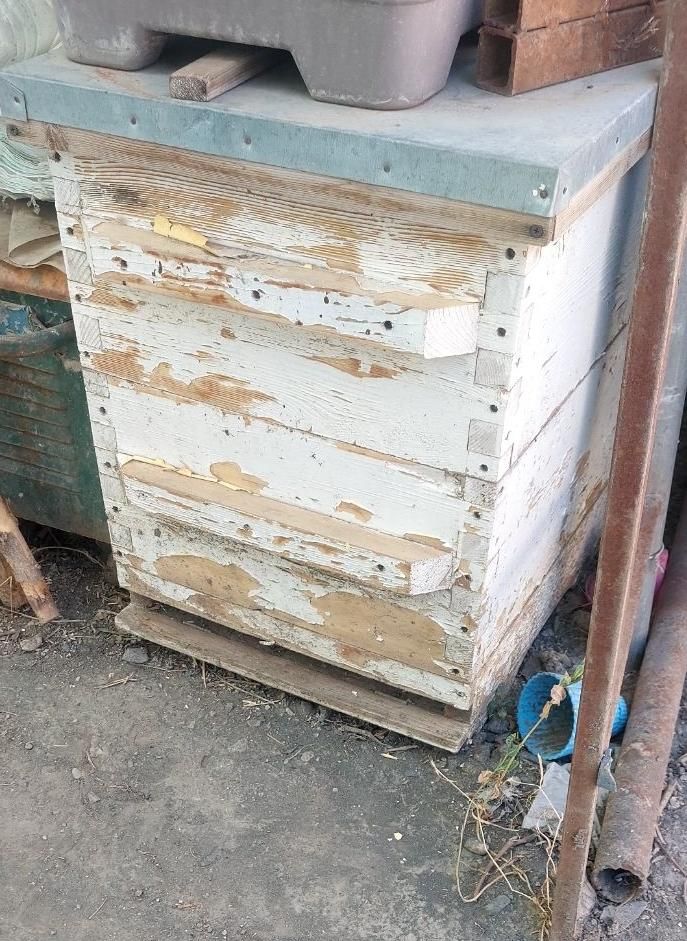 کندو|لوازم جانبی حیوانات|طرقبه, |دیوار