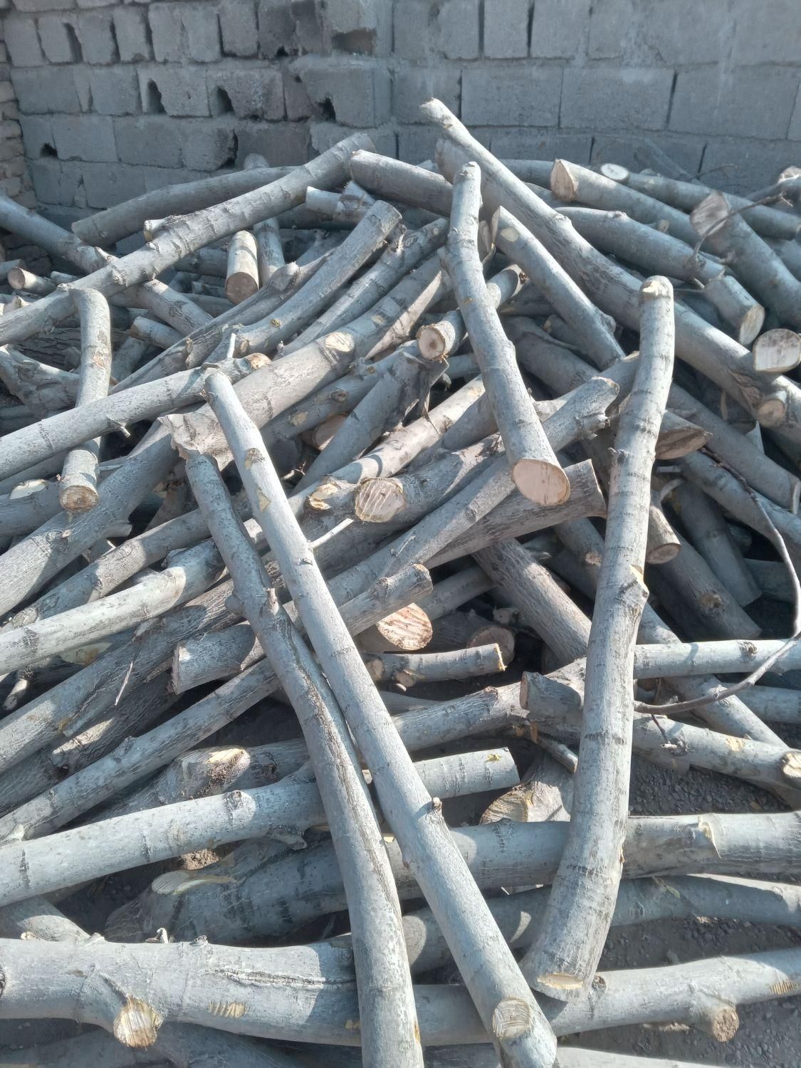 خرید چوب درخت قلمه،ضایعات میوه و چوب دام|خدمات باغبانی و درختکاری|خوی, |دیوار