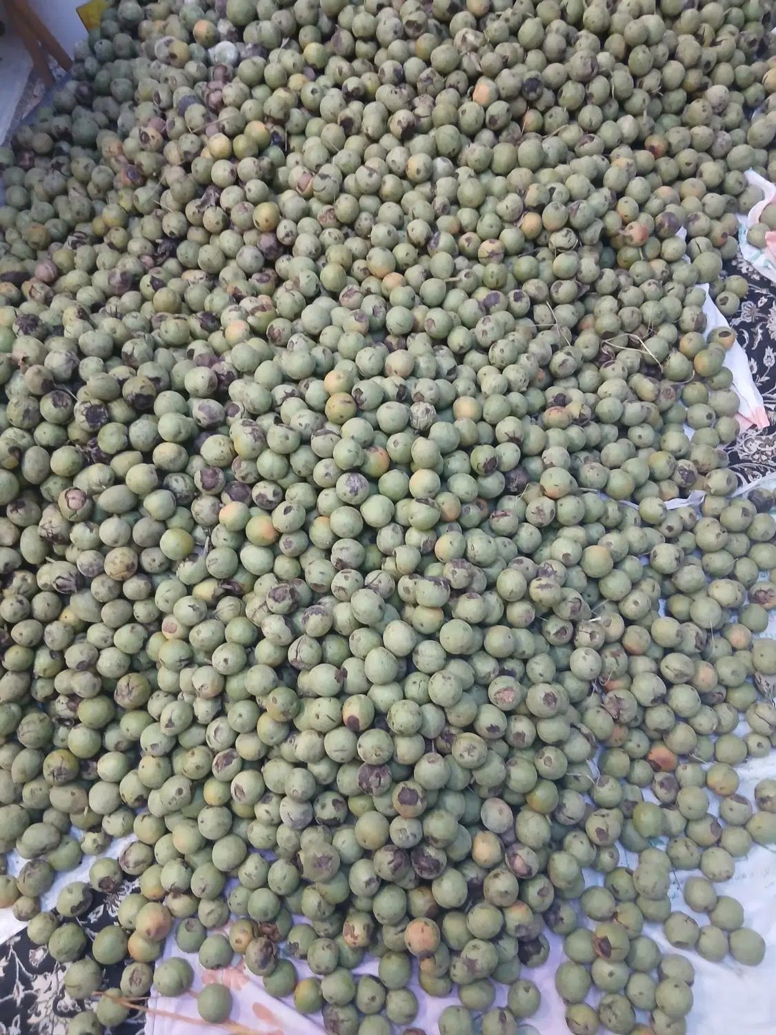 گردو درجه یک|خوردنی و آشامیدنی|تهران, فرحزاد|دیوار