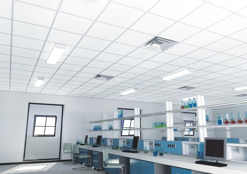 تایل گچی 60/60 - در شهرضا|خدمات پیشه و مهارت|شهرضا, |دیوار