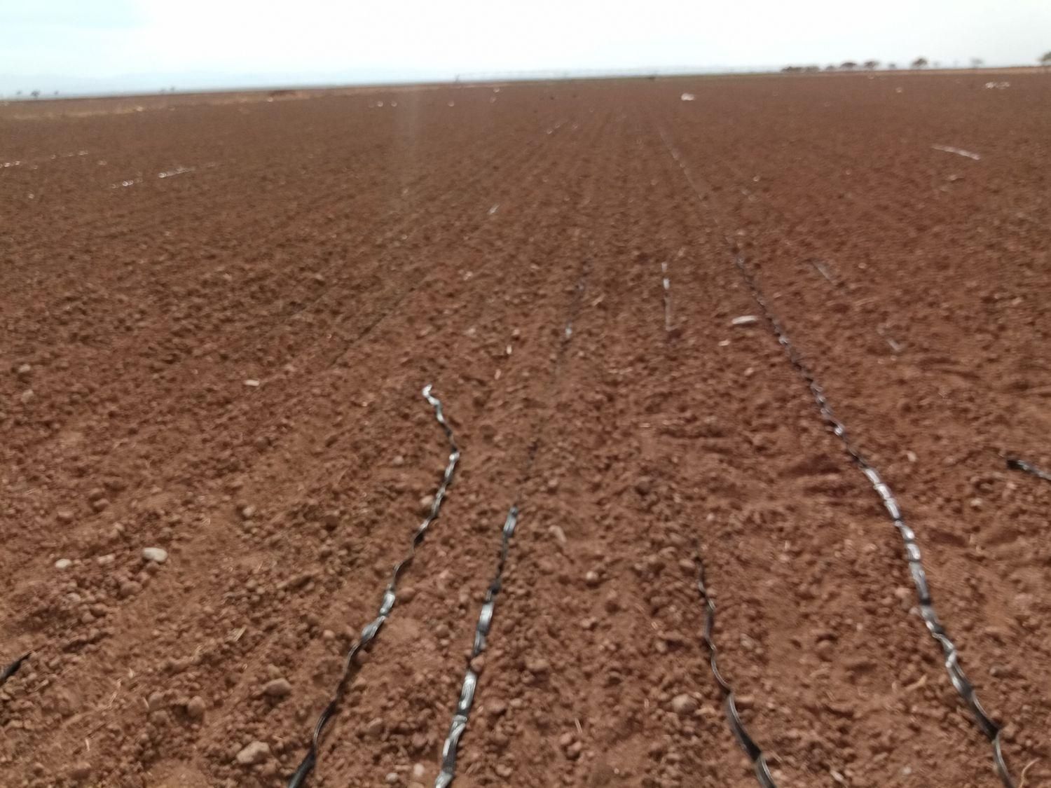 چاه وقنات ورودخانه و450هکتارزمین  در نیشابور|فروش دفتر صنعتی، کشاورزی، تجاری|نیشابور, ماروسک|دیوار