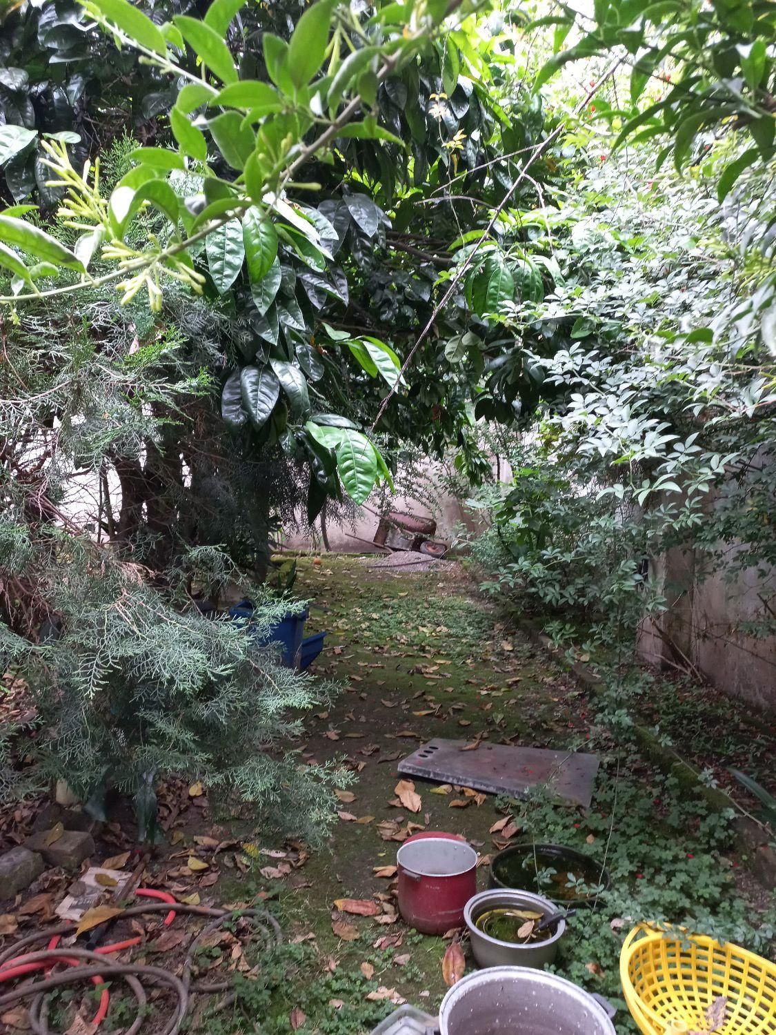 زمین / مسکونی / باغی / ۱ هکتاری / جاده جیرده|فروش زمین و ملک کلنگی|رشت, منظریه|دیوار