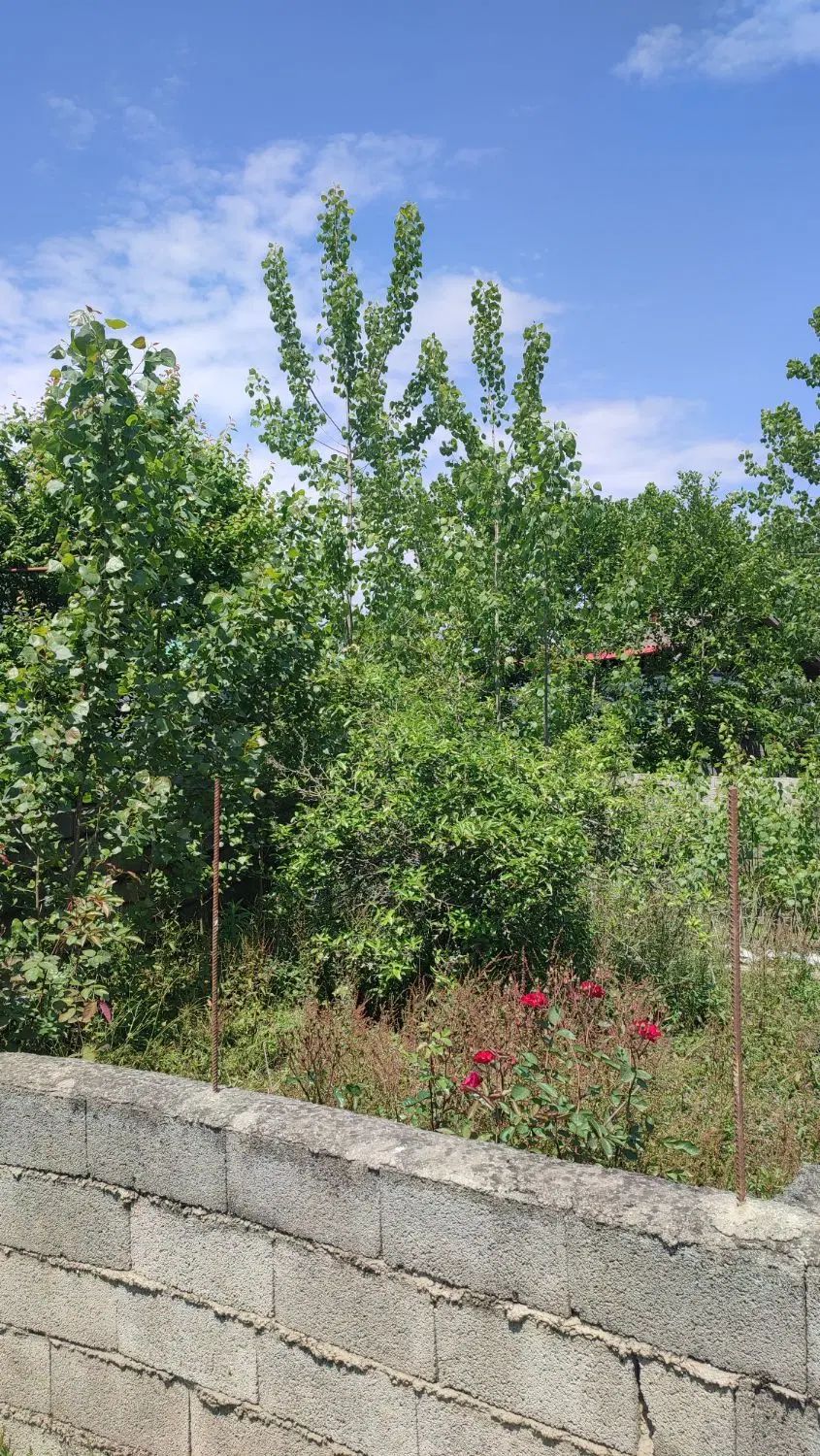 ۳۰۰ متر زمین باکاربری مسکونی در قلمباغ پره‌سر|فروش زمین و ملک کلنگی|پره‌سر, |دیوار