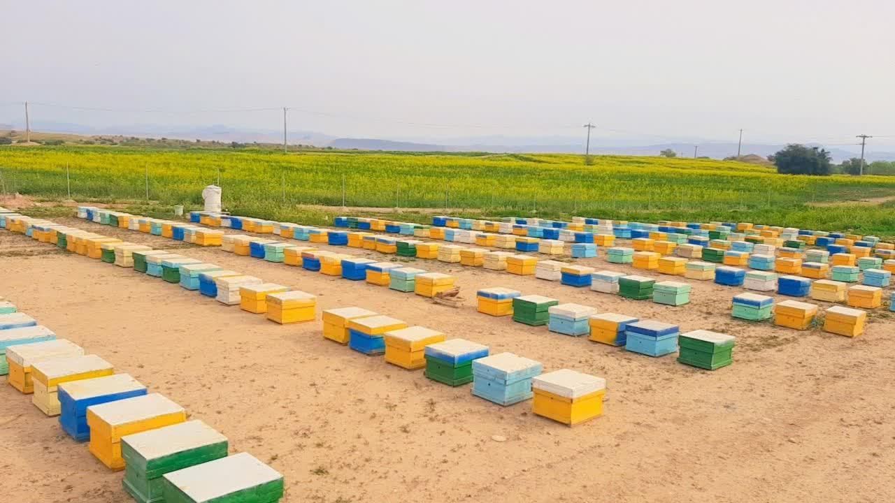 عسل کنار امسالی، ارگانیک|خوردنی و آشامیدنی|تهران, توحید|دیوار