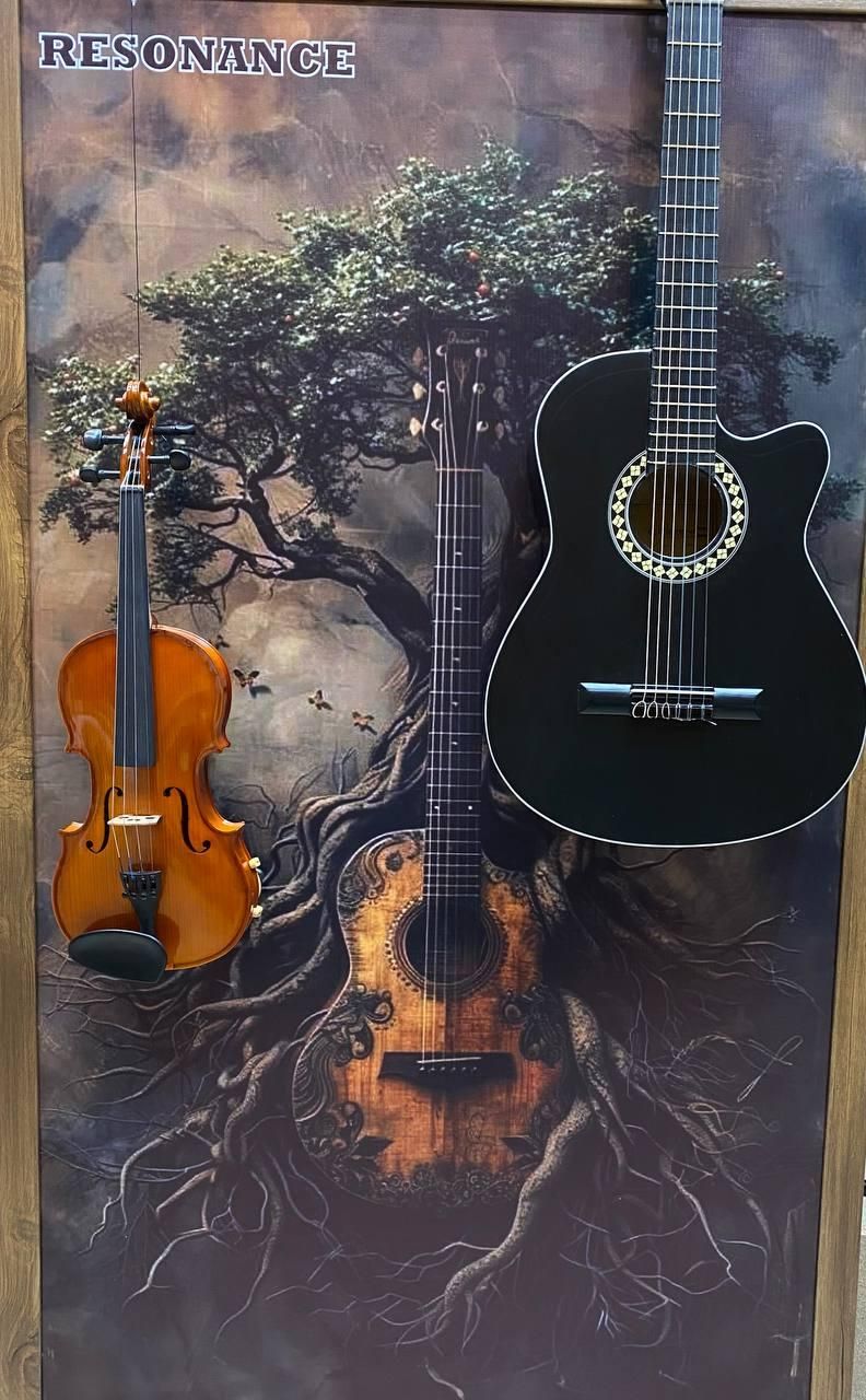 گیتار پارسی اکشن پایین|گیتار، بیس، امپلیفایر|مشهد, آزادشهر|دیوار