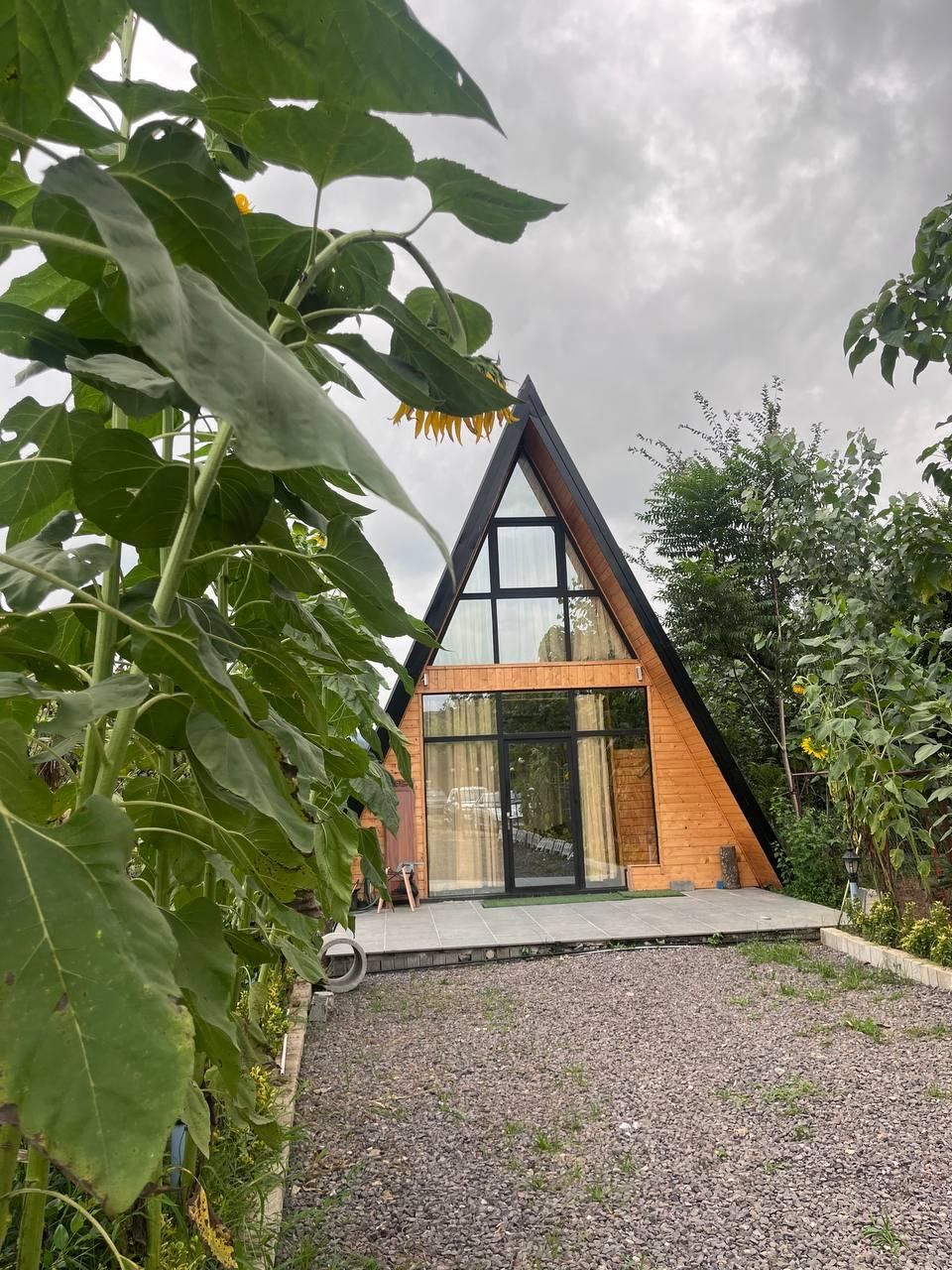 کلبه سوئیسی جنگلی|اجارهٔ کوتاهمدت ویلا و باغ|لاهیجان, آهندان|دیوار