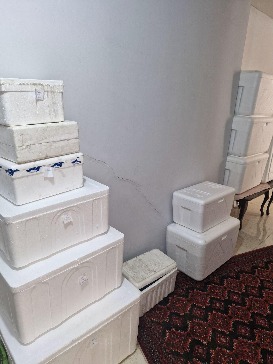 یخدان اکاستیو اکاسیف یخچالی.کمپرس یخ موجود است|ظروف نگهدارنده، پلاستیکی، یک‌بارمصرف|مشهد, الهیه|دیوار