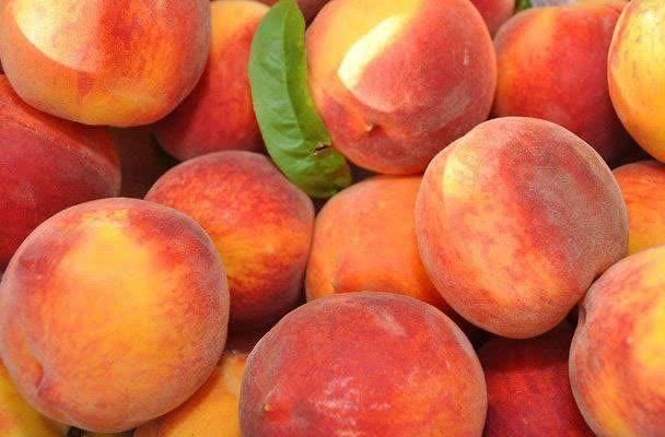 هلو|گل و گیاه طبیعی|مشهد, امیرآباد|دیوار