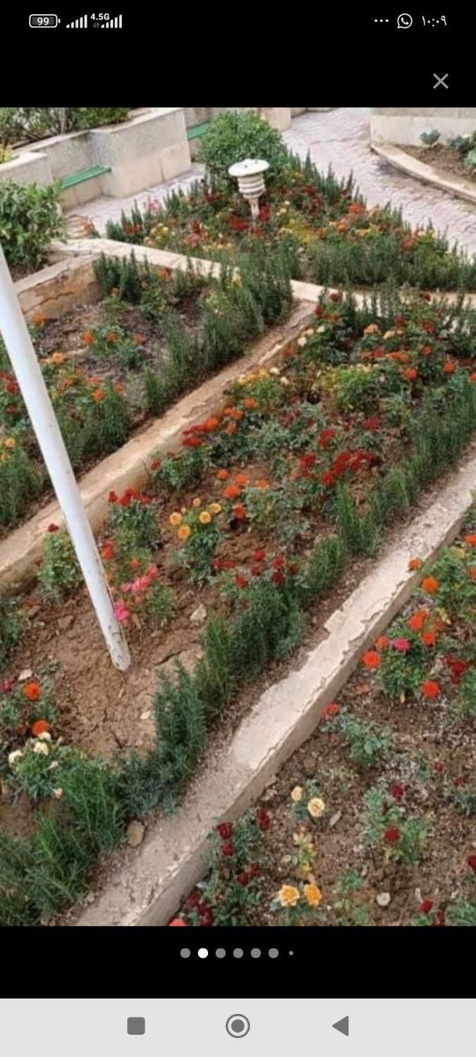 خدمات باغبانی گلکاری تعویض خاک گلدان در منزل|خدمات باغبانی و درختکاری|تهران, مرزداران|دیوار