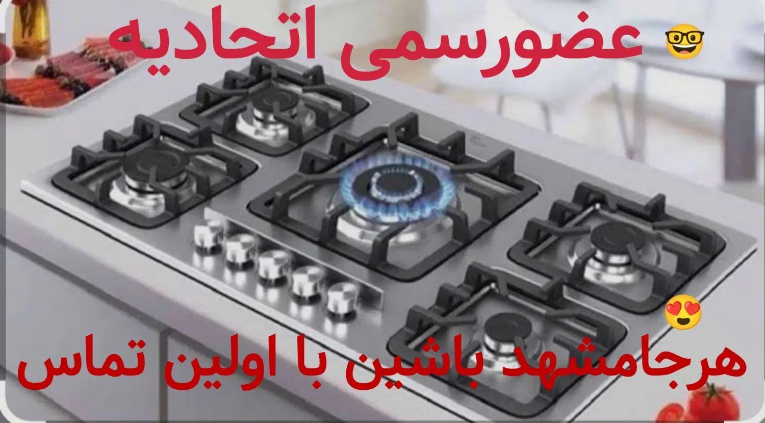 تعمیرات تخصصی اجاق گاز رومیزی فردار  توکار هاشمیه|خدمات پیشه و مهارت|مشهد, وکیل‌آباد|دیوار