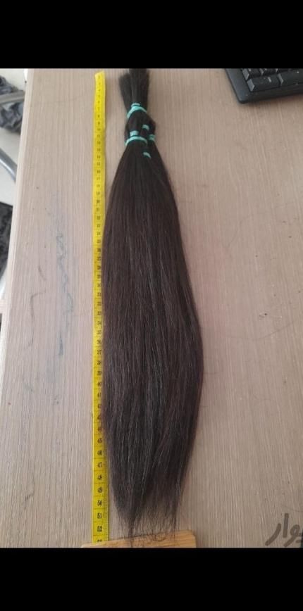 خریدار موی طبیعی بانوان سراسر تهران|خدمات آرایشگری و زیبایی|ری, جوانمرد قصاب|دیوار