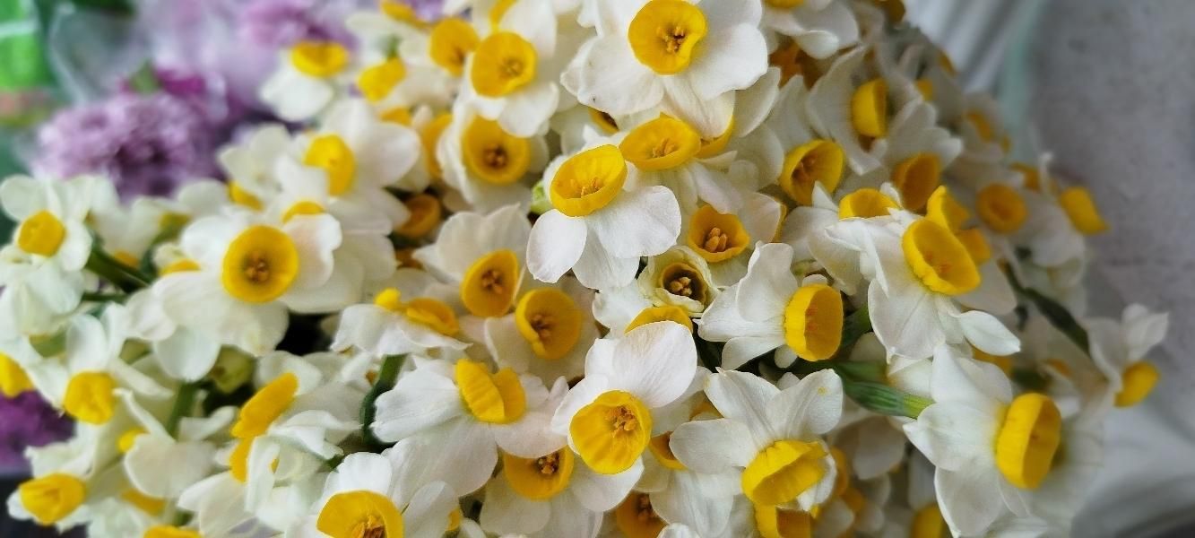 راهنمایی‌ مشاوره|فعالیت داوطلبانه|بروجرد, |دیوار
