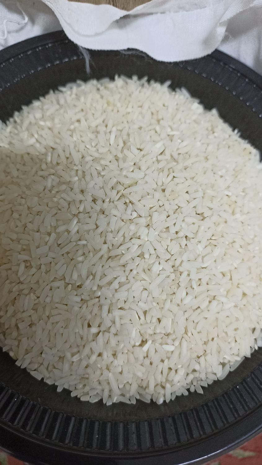 سرلاشه برنج طارم هاشمی کشت اول فریدونکنار امساله|خوردنی و آشامیدنی|اصفهان, پروین|دیوار