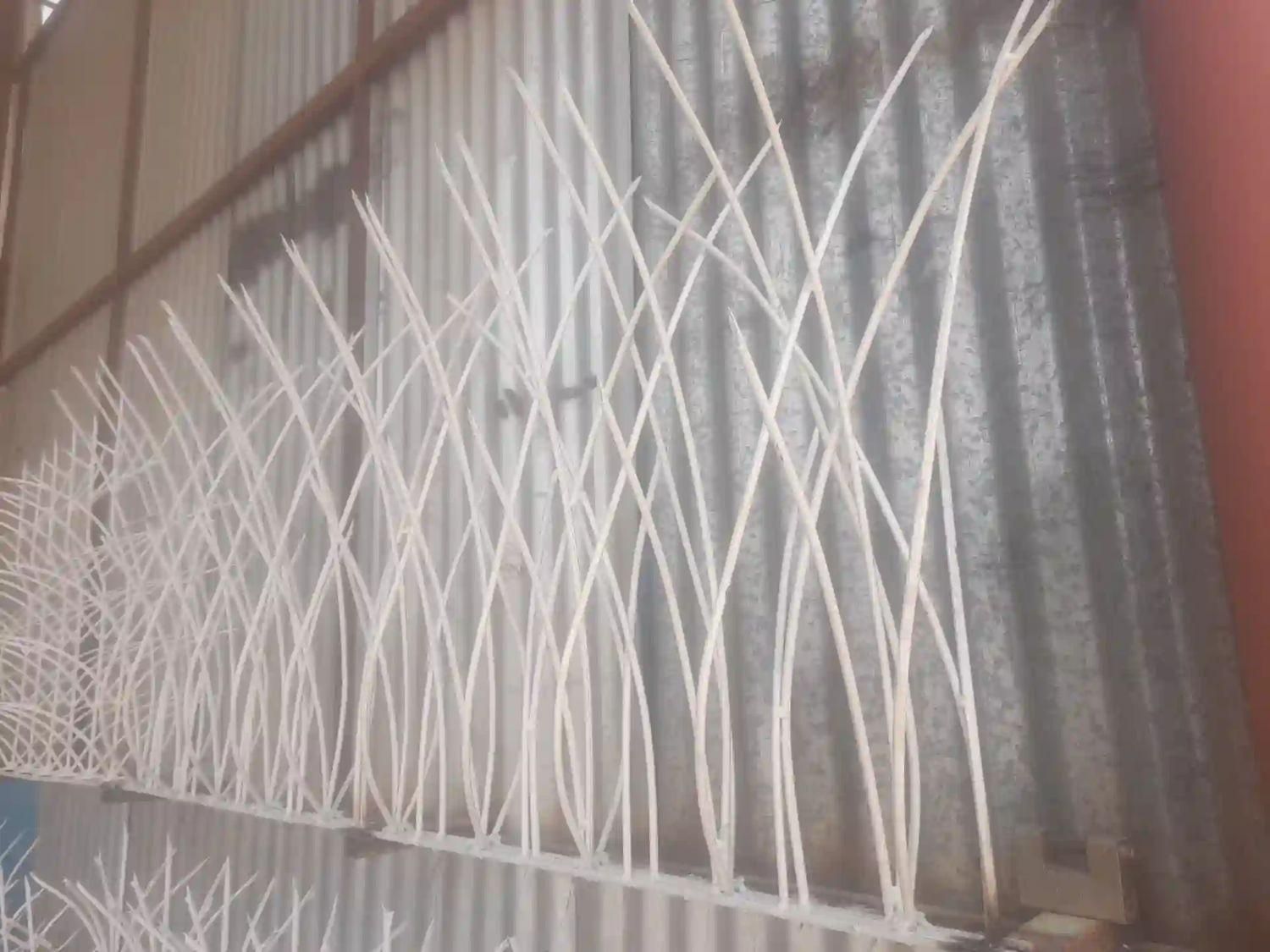 تنها تولیدکننده انواع حفاظ های شاخ گوزنی ودرختی|خدمات پیشه و مهارت|کرمان, |دیوار