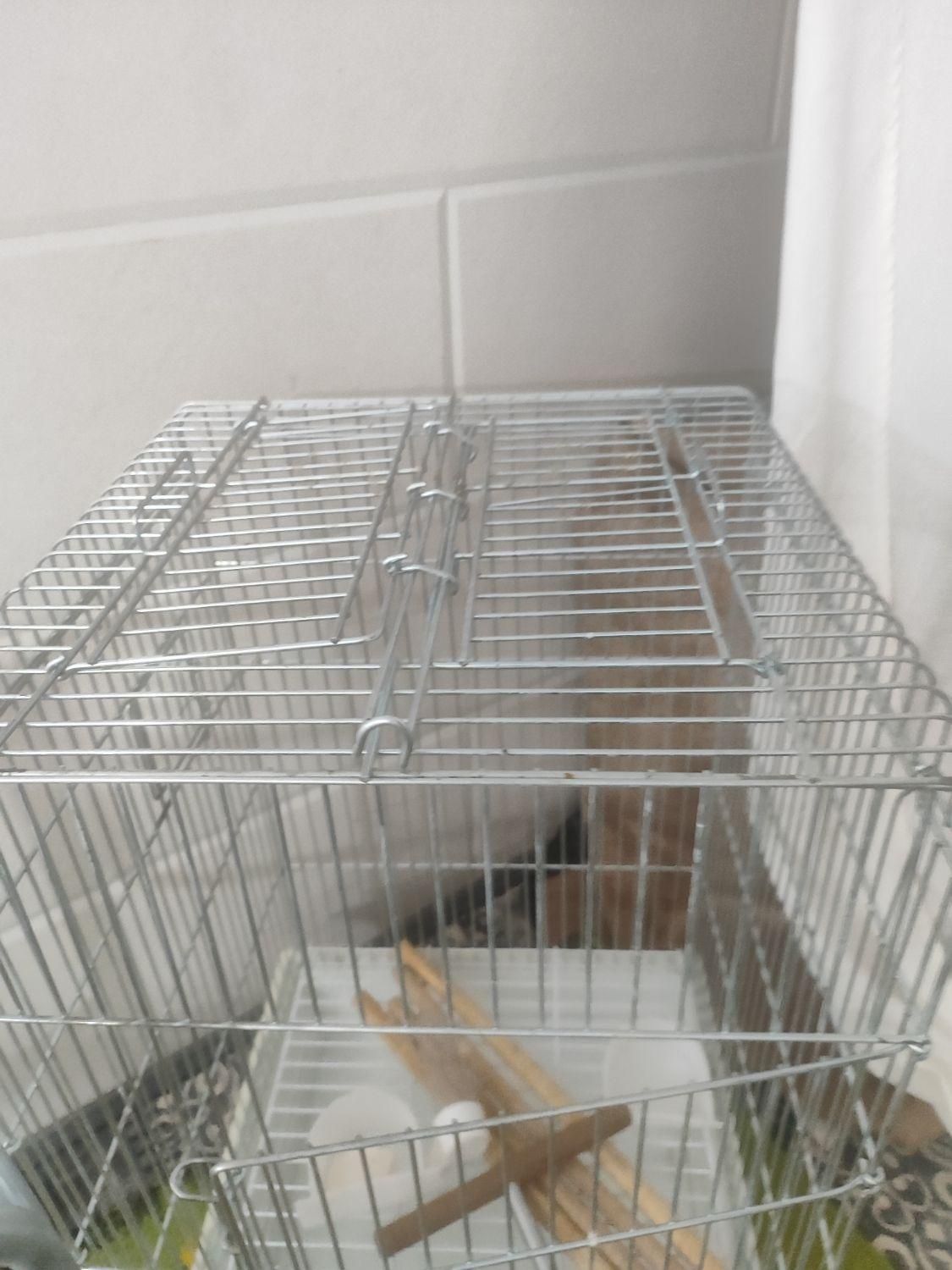 قفس بزرگ کاسکو یی|لوازم جانبی حیوانات|قم, باجک یک|دیوار