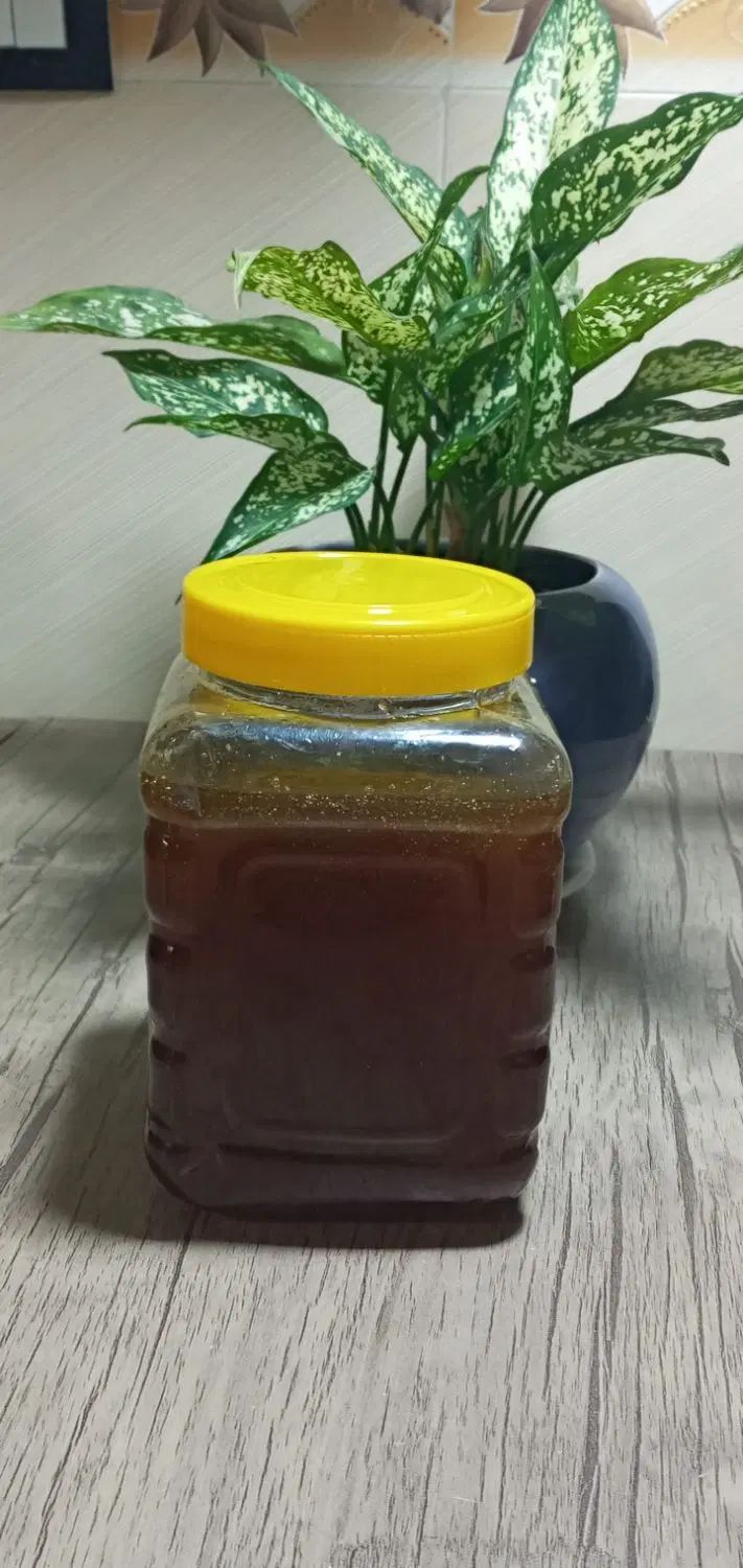 عسل گشنیز اورگانیک. عسل گون اورگانیک ۱دهم|خوردنی و آشامیدنی|نهاوند, |دیوار