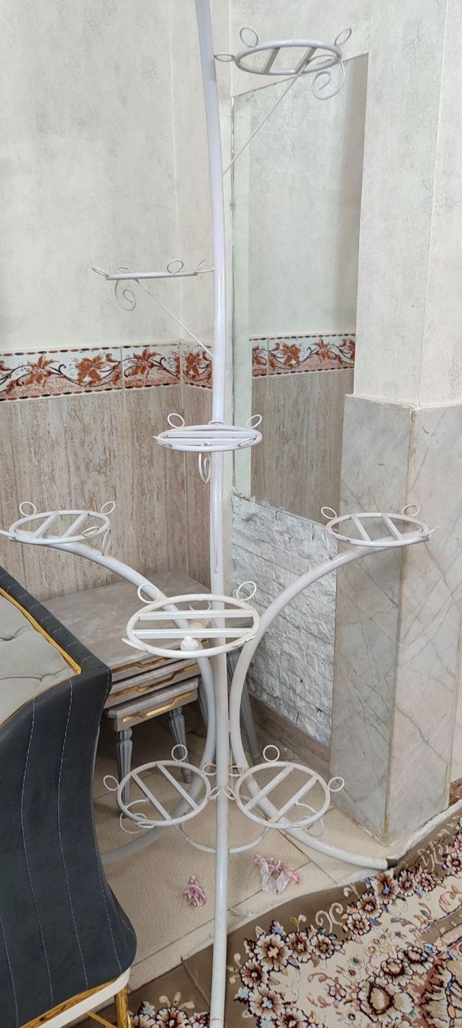 جاگلدانی|گل و گیاه طبیعی|پاکدشت, پاکدشت (مامازند)|دیوار