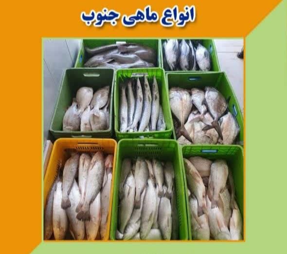 ماهی جنوب|خوردنی و آشامیدنی|تهران, نعمت‌آباد|دیوار