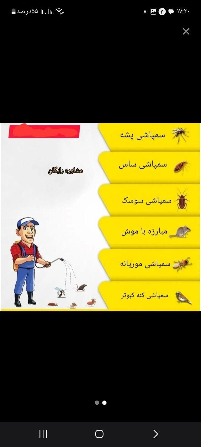 سمپاشی ۱۰۰٪سوسک،مورچه، موش سم پاشی منازل|خدمات نظافت|اردبیل, |دیوار