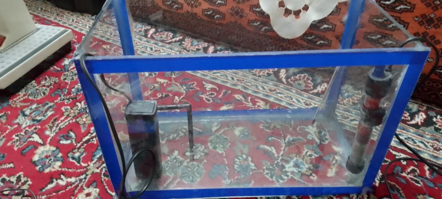 آکواریوم کوچک خانگی|ماهی|تهران, شهمیرزادی|دیوار