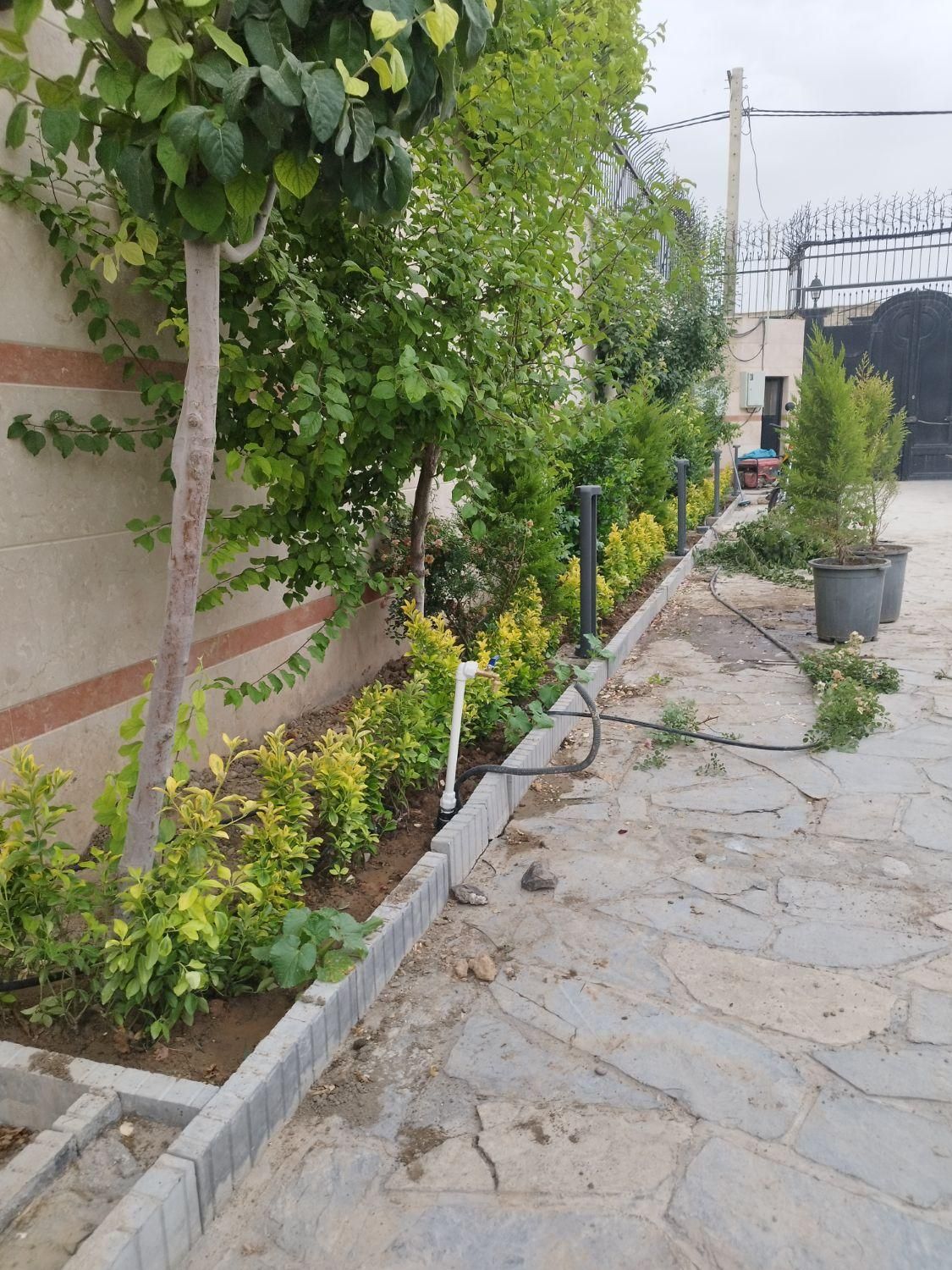 آبیاری قطره ای، بارانی، مهپاش، پلی اتیلن|خدمات باغبانی و درختکاری|تهران, گلستان (شهرک راه آهن)|دیوار