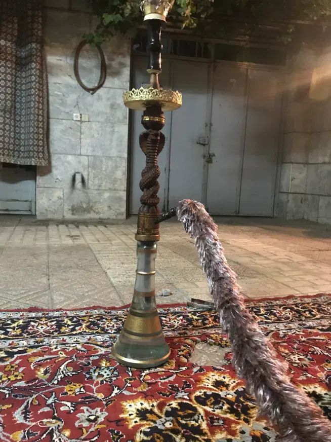 طعم پرتغال نعنا|کلکسیون و سرگرمی|مشهد, گاز|دیوار